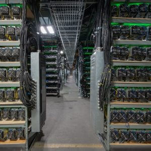 Crypto Mining Hosting Services - EZ Blockchain