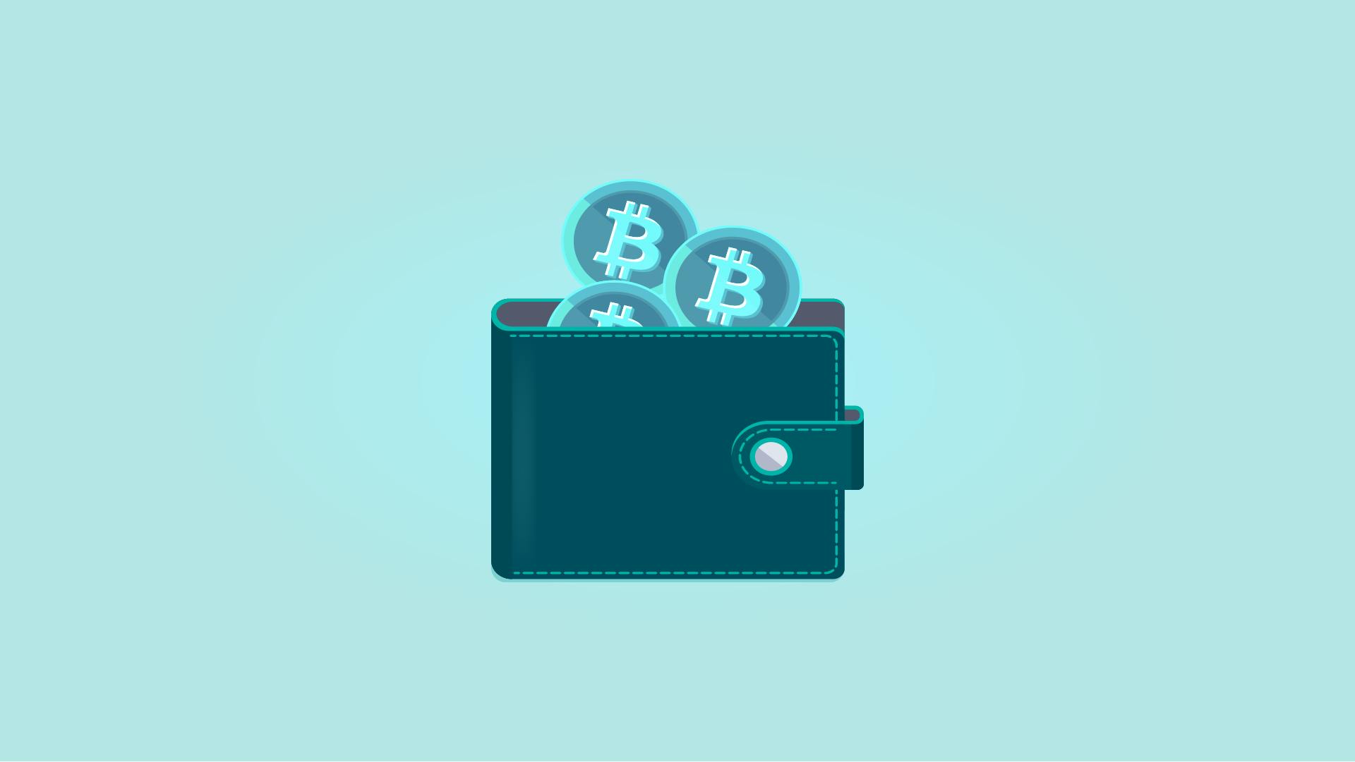 TOP Cryptocurrency and Bitcoin (BTC) Wallets in 