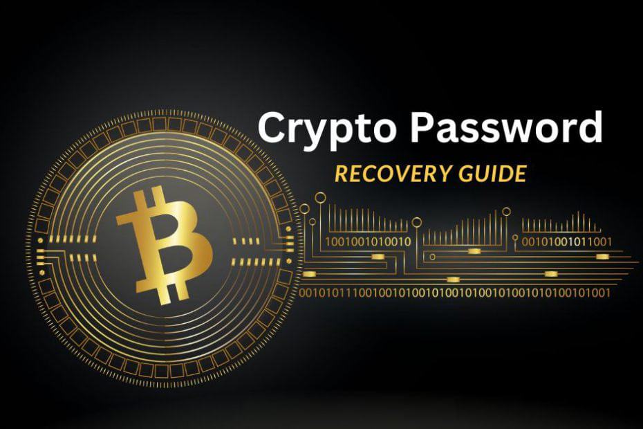 Can I Recover a Bitcoin Wallet With a Private Key? [The Full Guide]