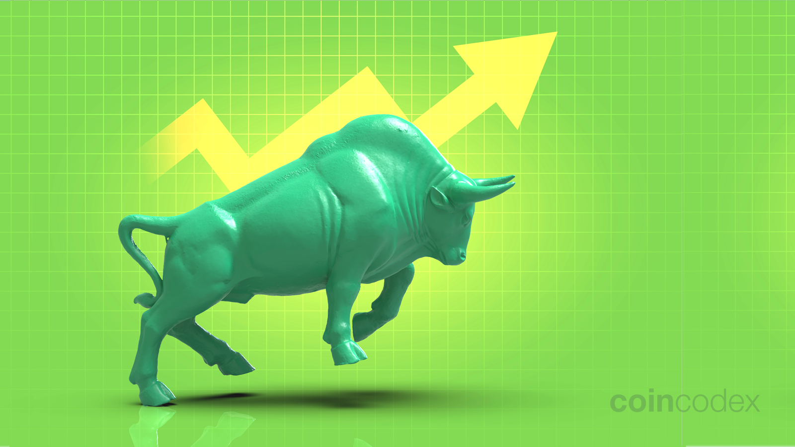 8 Crypto to consider buying now for the next bull run in - The Economic Times