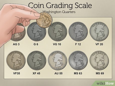 Coin Grading Terms – bitcoinlove.funs - Wynyard Coin Centre