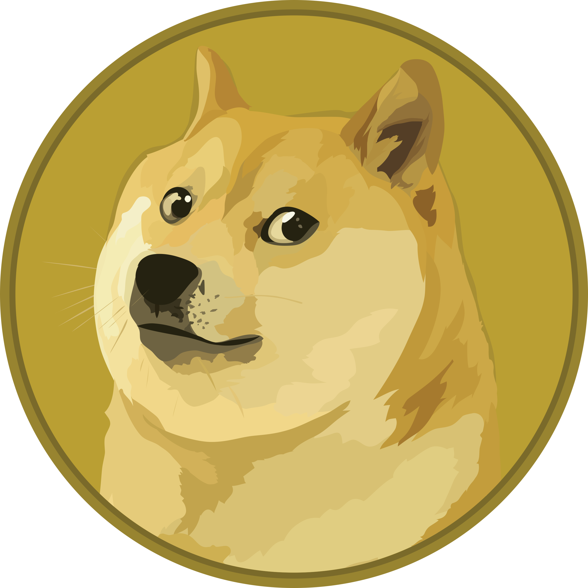 Dogecoin Wallet (DOGE) | Secure DOGE Wallet | Trust Wallet | Trust