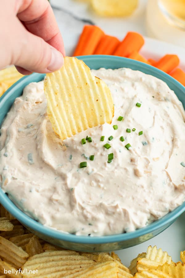 Caramelized Onion Dip Recipe - Pinch of Yum