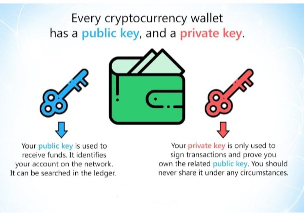 Public and Private Keys: What Are They? | Gemini