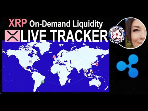 Xrp on-chain data: price, liquidity, volume, trades & insights | bitcoinlove.fun