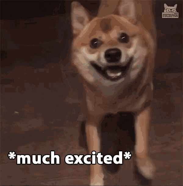 Outdated - The D.O.G.E. AI! Such Shiba Inu. Wow. So excite! | Chucklefish Forums