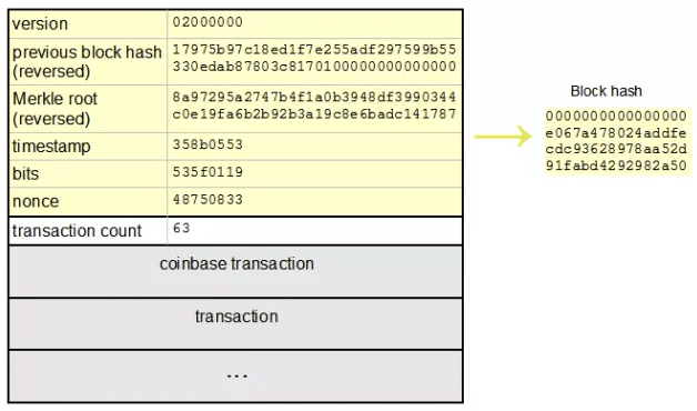 SHA vs Scrypt ASIC: Crypto Mining Hardware Comparison