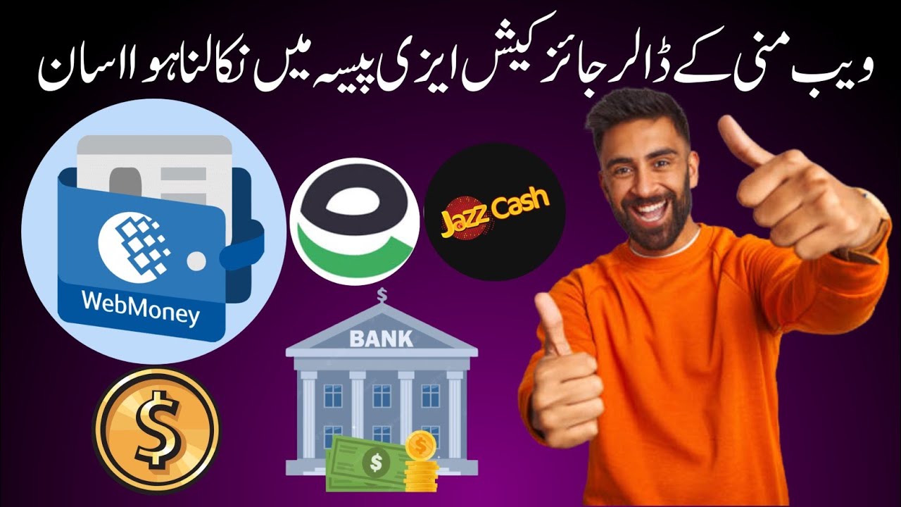 WebMoney Exchanger in Pakistan – DigitalPaisa