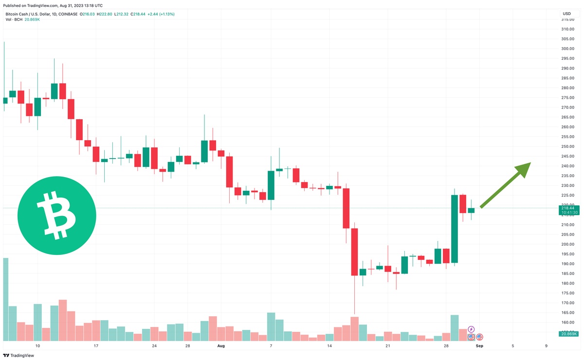 Bitcoin Cash - Peer-to-Peer Electronic Cash