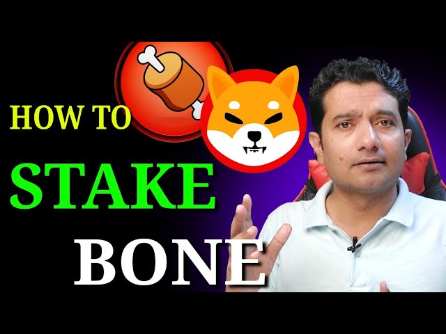 ShibaSwap's $BONE Token: What’s Behind The Pump?