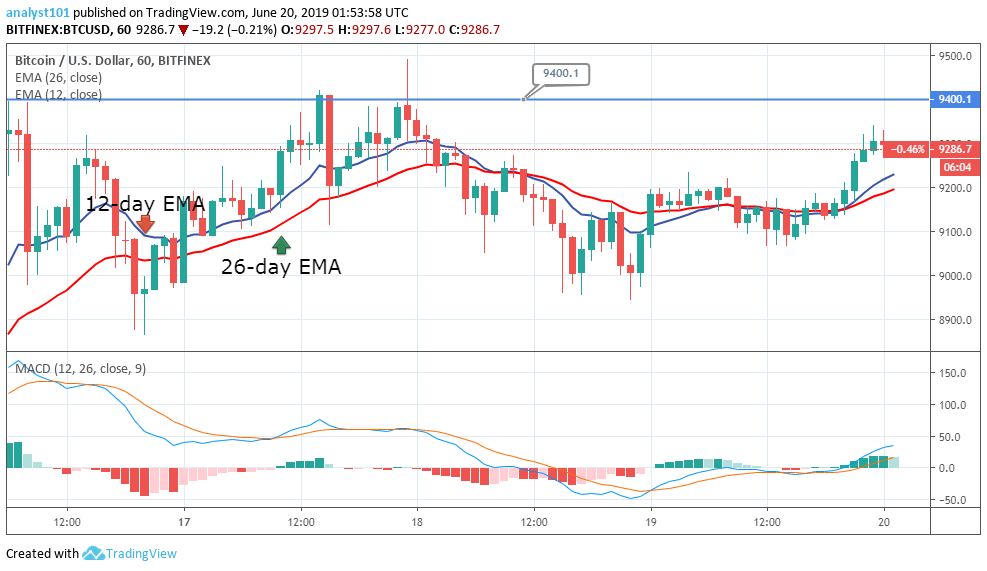 BTC Price Will Rise to $11, by June ! Bitcoin Is Predicted to Gain Momentum by Summer