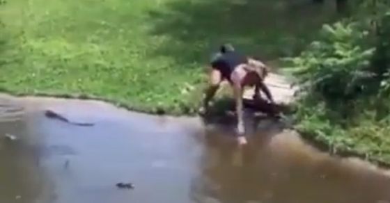 Woman Climbs Into Alligator Pit With Her Son To Retrieve Wallet • Hollywood Unlocked