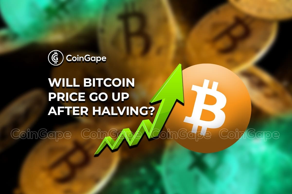 Will Bitcoin’s price climb higher after the halving? Here’s what four experts say – DL News