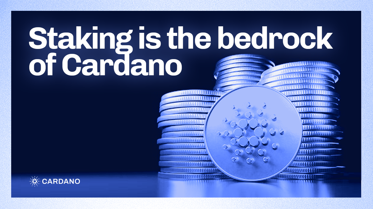 Is it worth staking your Cardano? How much do you make Cardano Staking? - bitcoinlove.fun