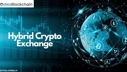 3 Different Types of Cryptocurrency Exchange platforms