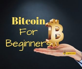 Bitcoin for Beginners: What You Need to Know about BTC - NerdWallet