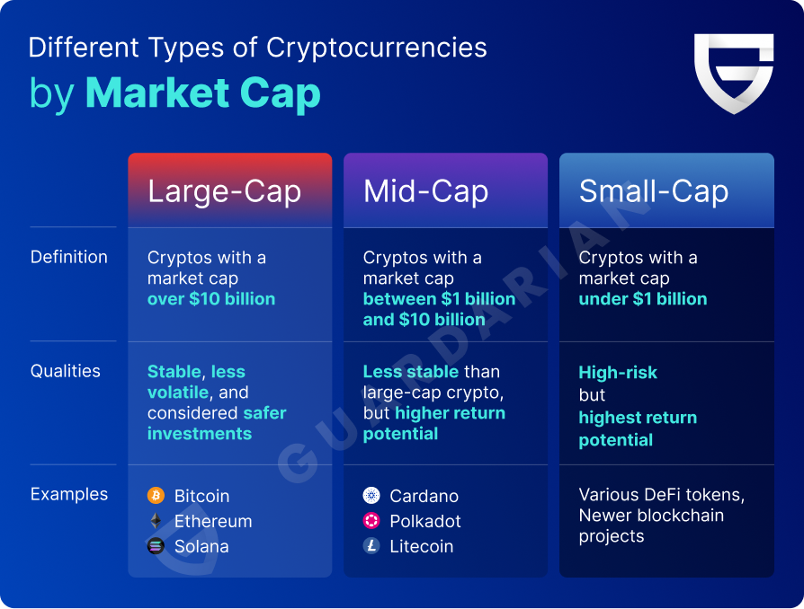 Volatility is Key – Why Low-Cap Coins Are the Best Way to Get Rich in Crypto