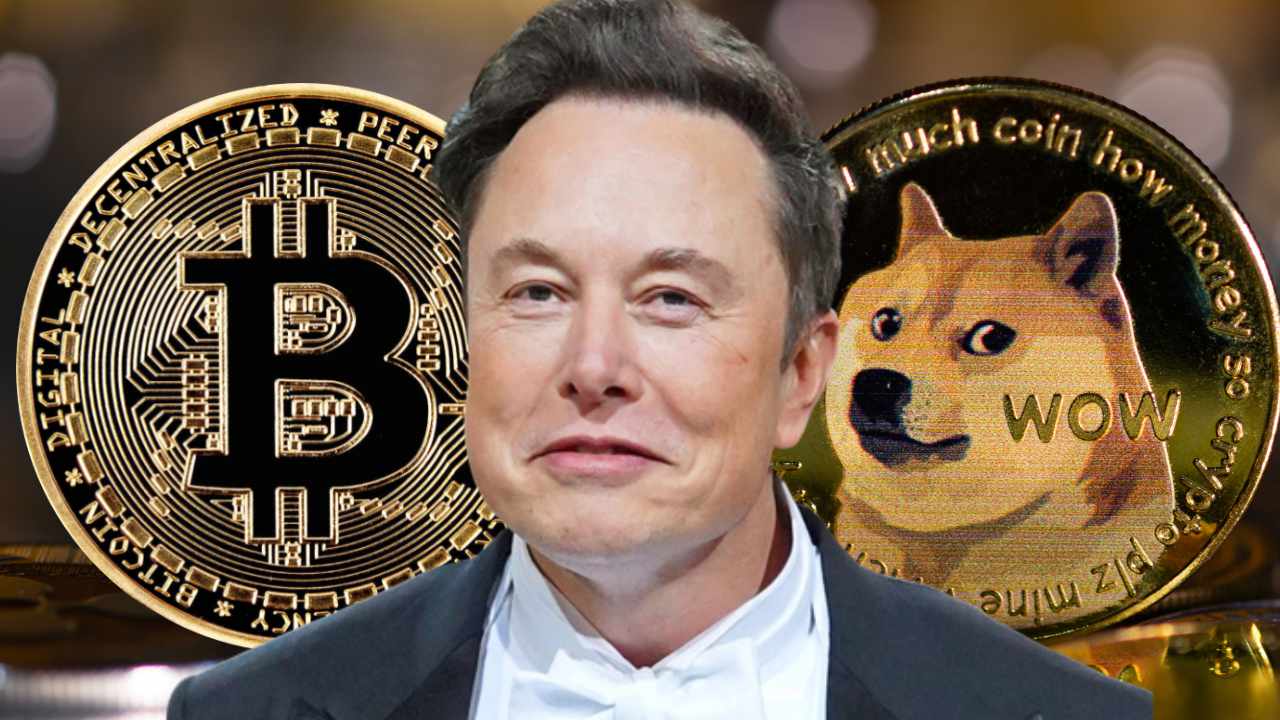 Elon Musk Breaks Silence on Crypto, Warns Against Dogecoin Speculation - Blockworks