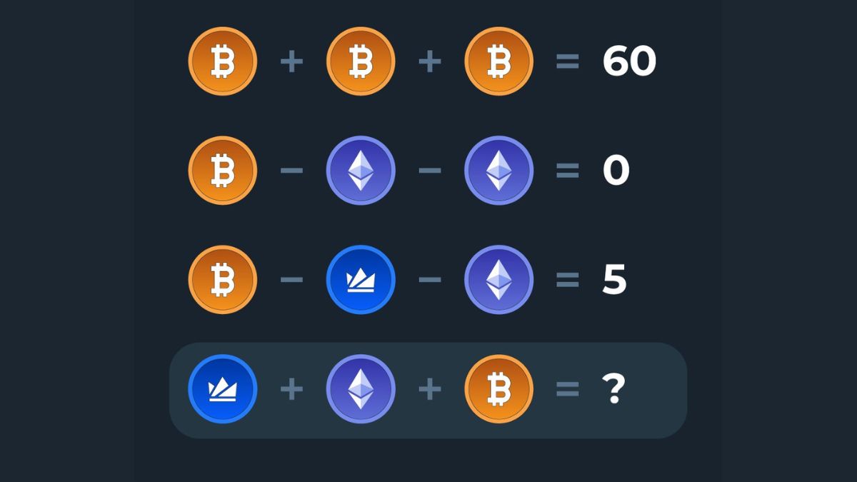 Bitcoin: the Satoshi Nakamoto riddle