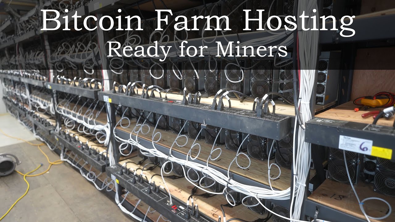 Bitcoin Mining Hosting & ASIC Hosting Services | D-Central