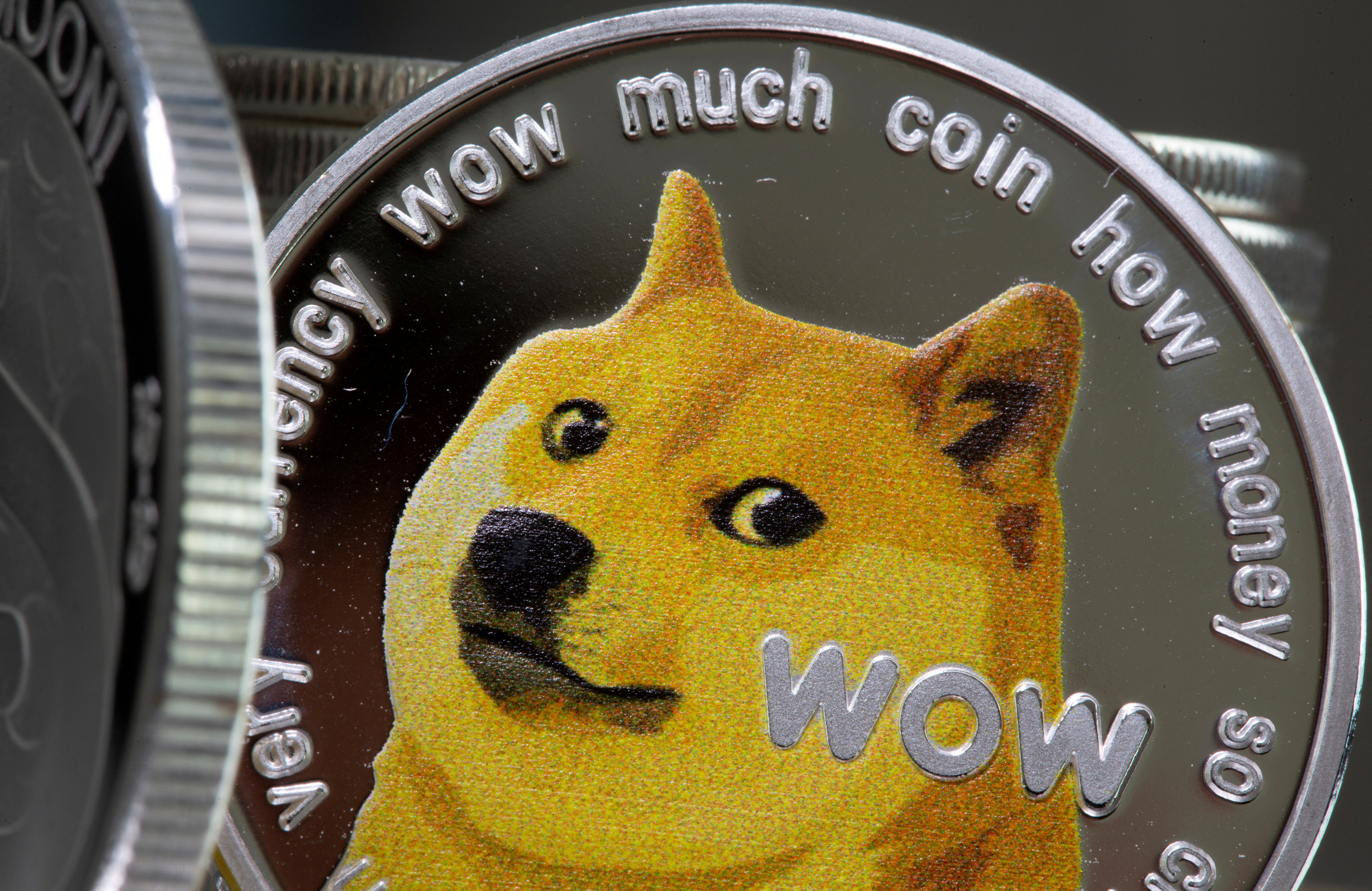 Dog coins are back: BONK leads Dogecoin, Floki and Shiba with % rally - Blockworks