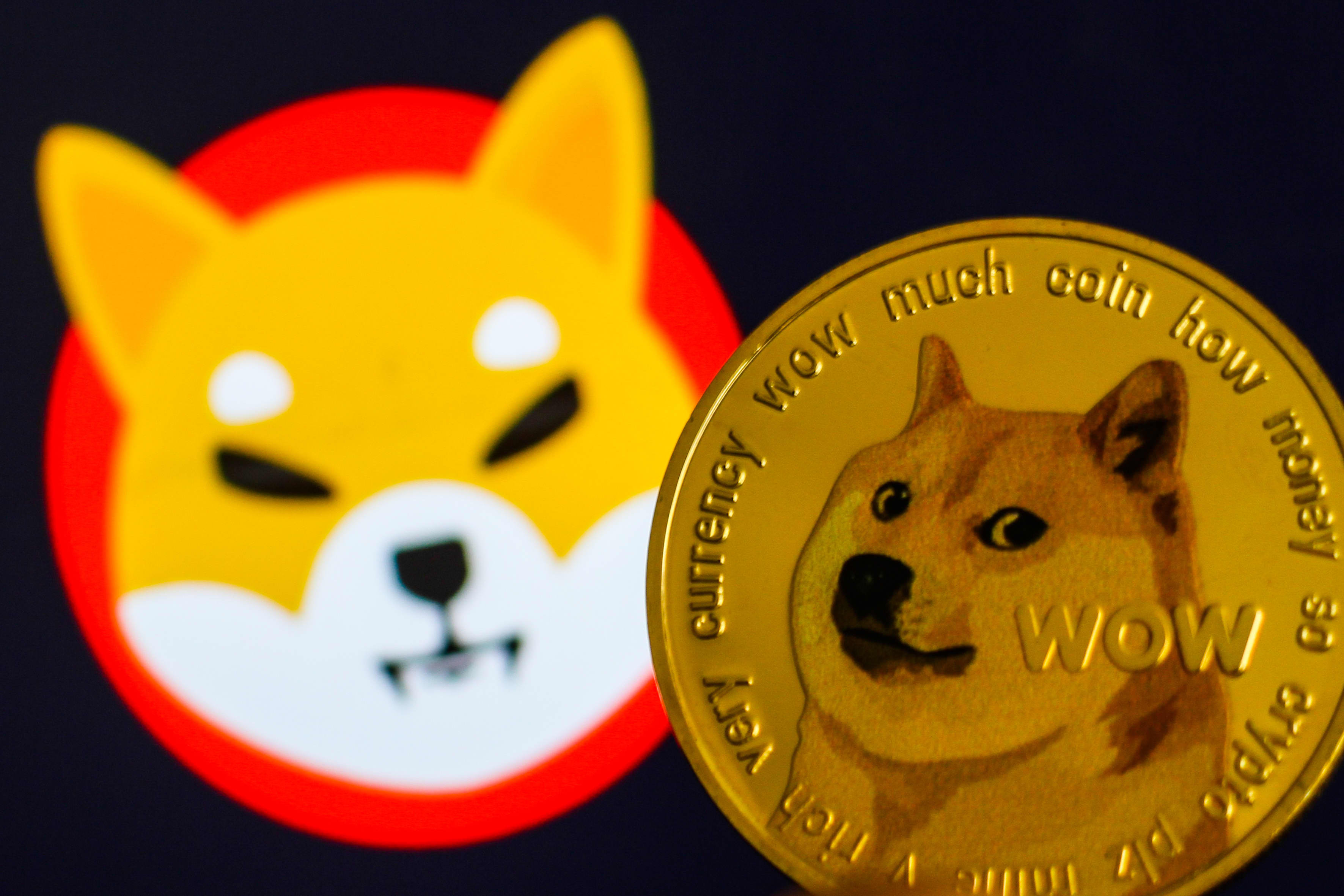 Free Dogecoin Strategy: Massive Altcoin Profits In 5 Steps