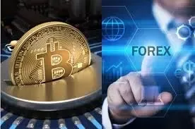 Most Crypto Pairs Forex Brokers | Brokersome!