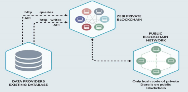 Tendermint based Zebi Public Blockchain (ZPB) now live – CryptoNinjas