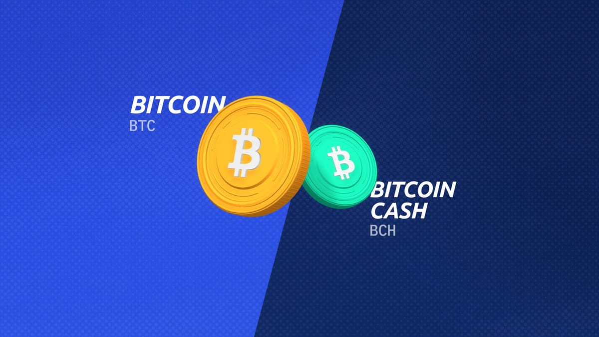 Best Bitcoin Cash Wallets: Top 10 Safest Places to Store BCH