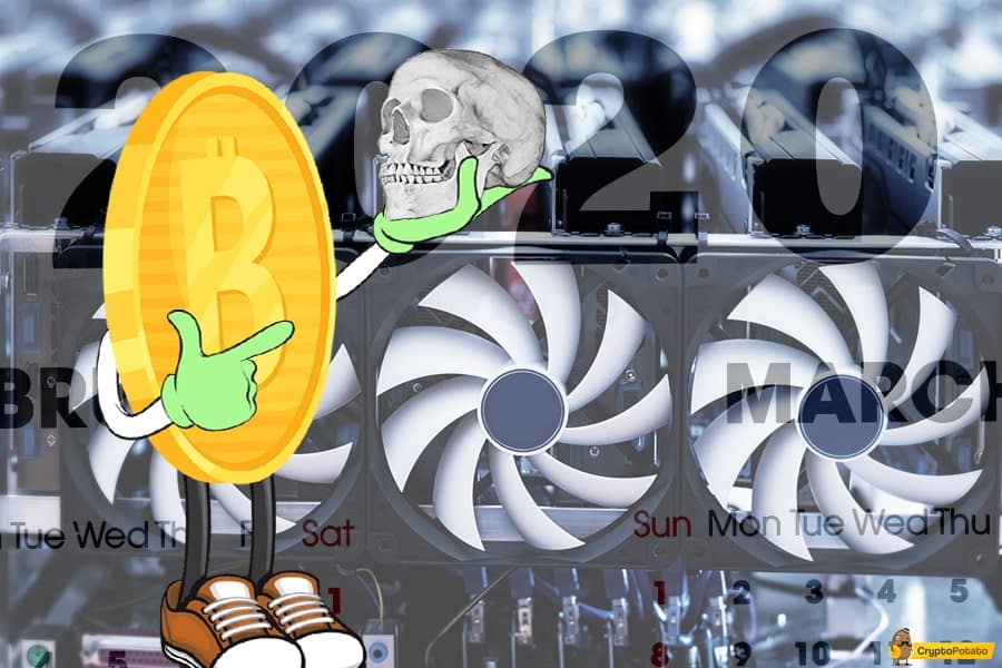 Mining News - The Daily Hodl