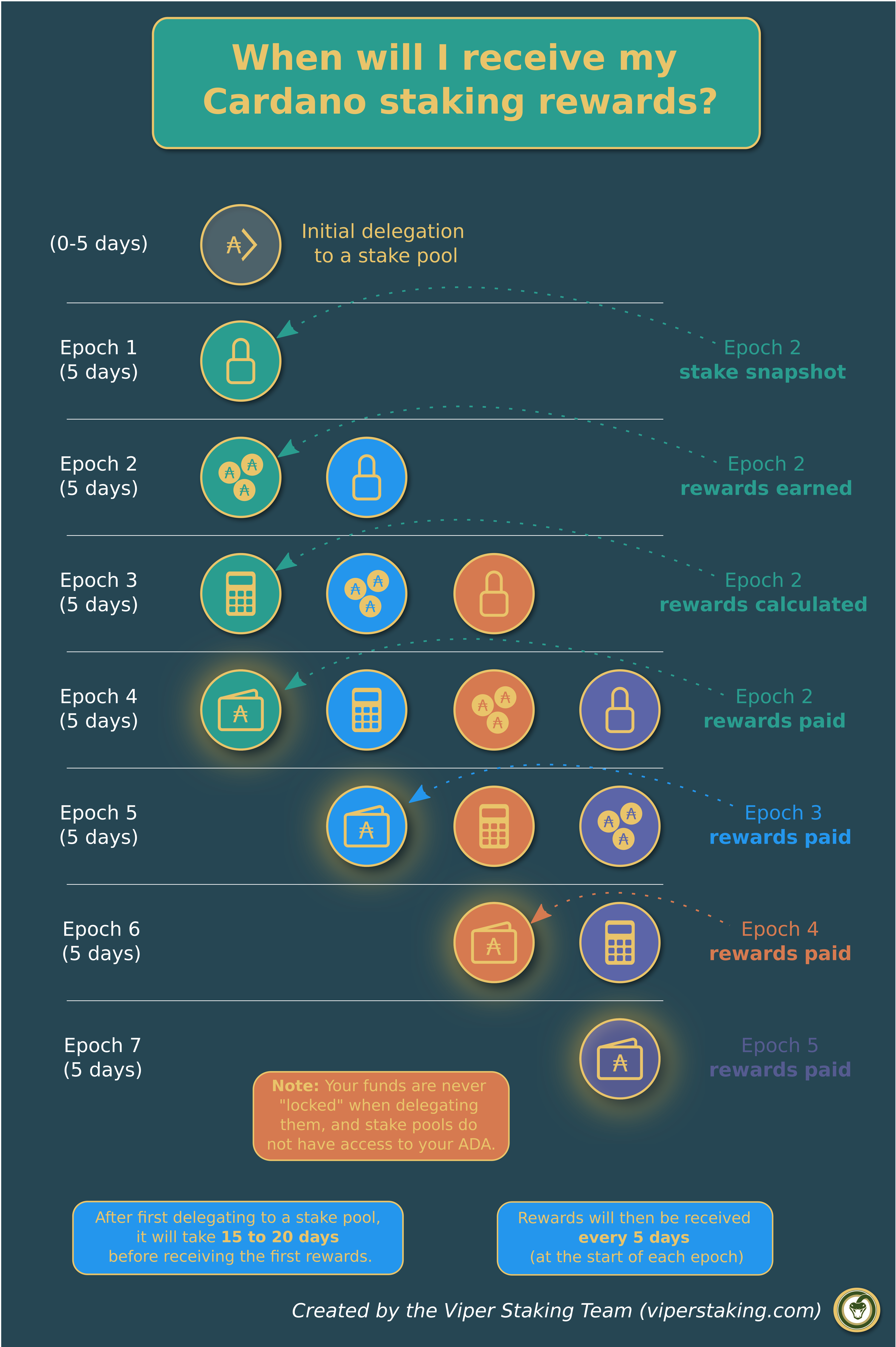 Where To Stake Cardano: 10 Best ADA Reward Platforms 