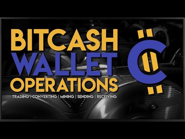 BITC Coin: what is BitCash? Crypto token analysis and Overview | bitcoinlove.fun