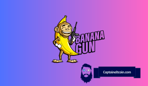 Banana Gun price now, Live BANANA price, marketcap, chart, and info | CoinCarp