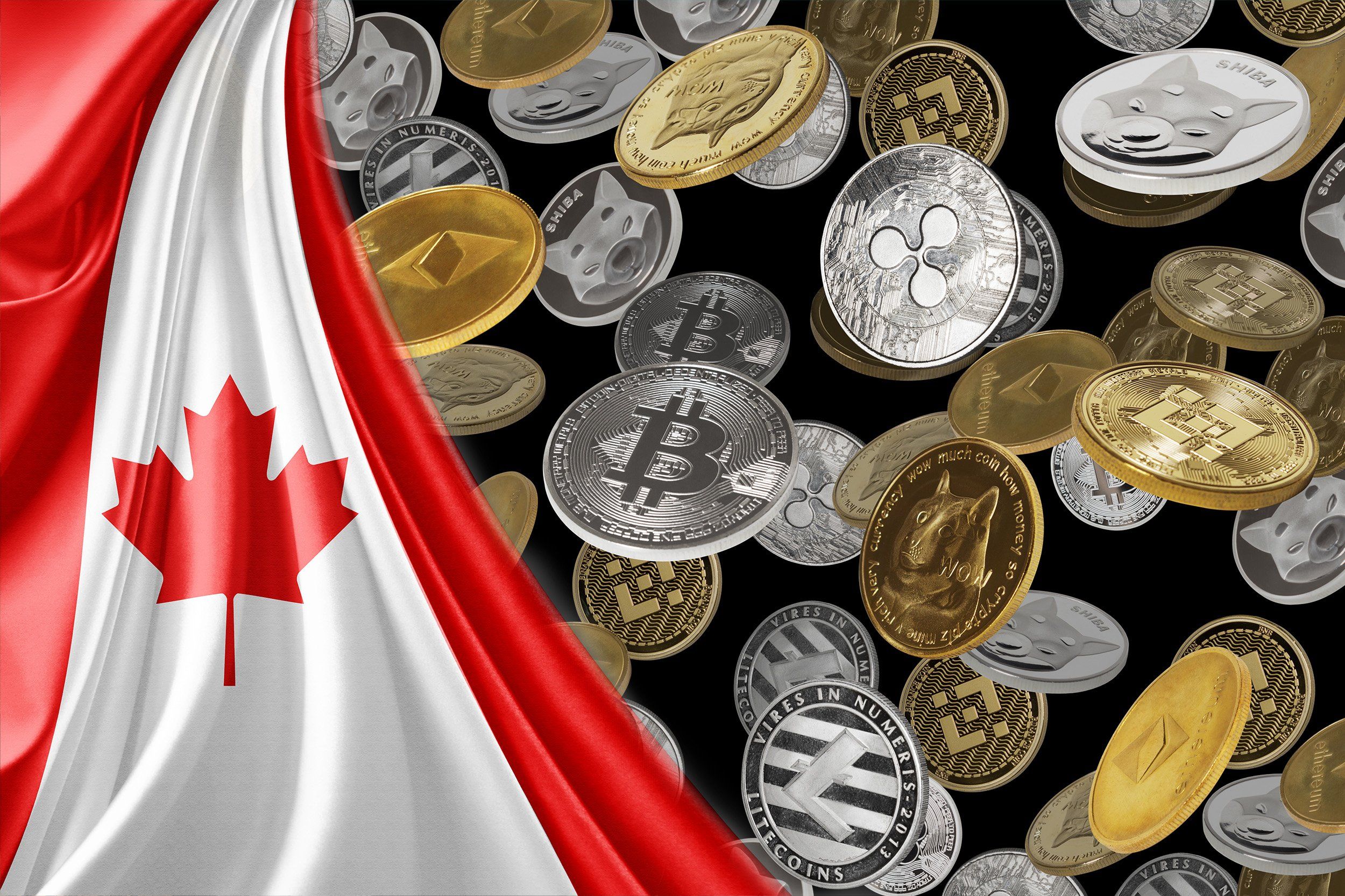 Best Crypto Stocks to Buy in Canada (March ) – PiggyBank