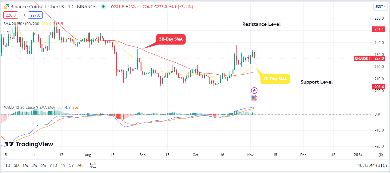 BNB (BNB) Price Prediction - 