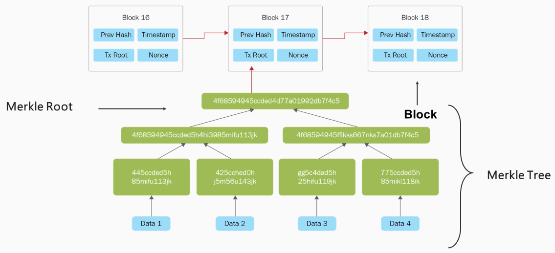 Part 7: What is inside of a Bitcoin block? | SOVRYN