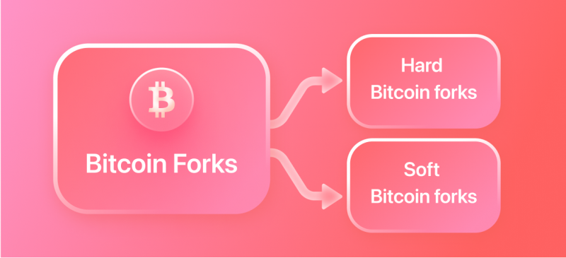 Hard Forks of | SimpleSwap