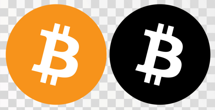 Bitcoin logo png images | PNGWing