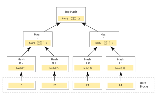 GitHub - csknk/compute-bitcoin-merkle-root: Calculate a Bitcoin Merkle root from txids.