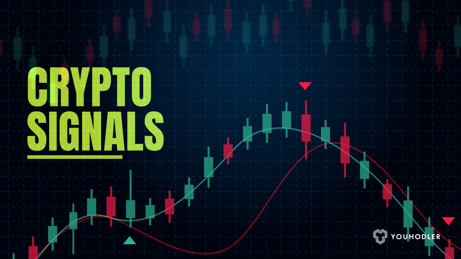 Bitcoin (BTC): Price, Live Charts, Signals | CryptoEQ