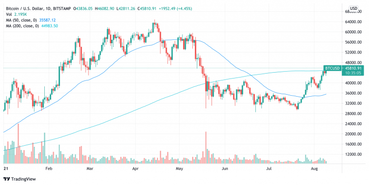 MA, SMA, EMA, WMA: A Complete Guide for Traders Explained by GC