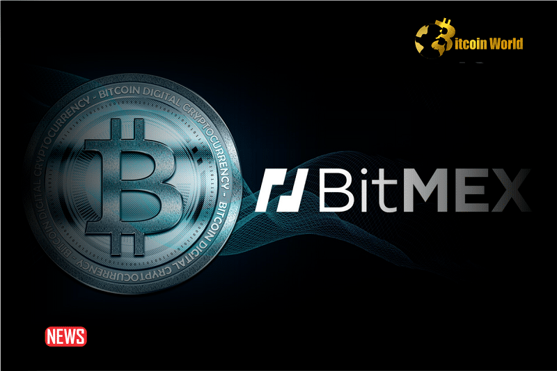 BitMEX Review: Can You Really Trust This Crypto Exchange?