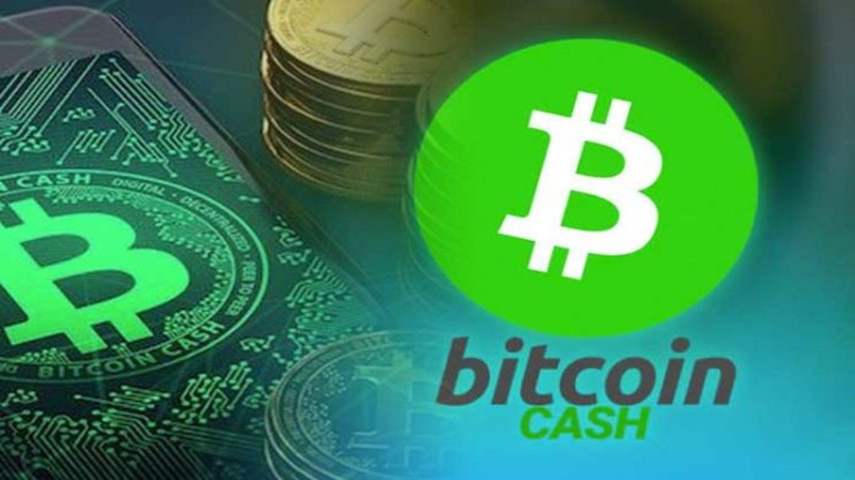 Investing In Bitcoin Cash (BCH) - Everything You Need to Know - bitcoinlove.fun