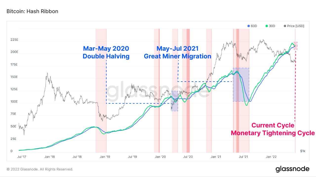 Bitcoin Weekly Forecast: BTC hits $13, for the first time since June - Forex Crunch