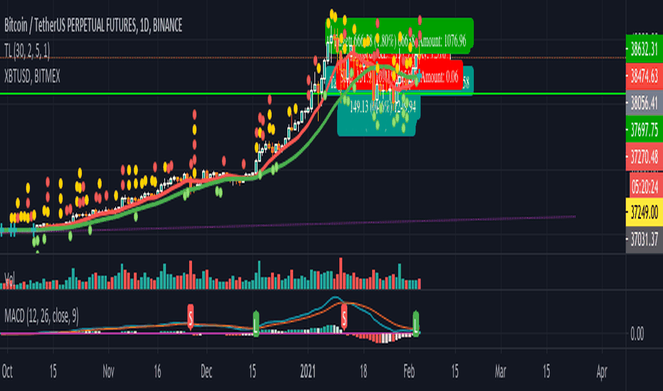 BTCUSDSHORTS Index Charts and Quotes — TradingView