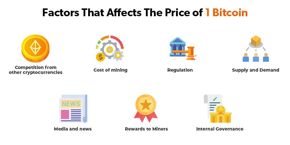 What Determines the Price of a Cryptocurrency?