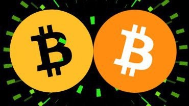 Bitcoin (BTC) vs. Bitcoin Cash (BCH): How They’re Different - NerdWallet