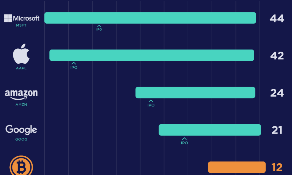 Assets ranked by Market Cap - bitcoinlove.fun