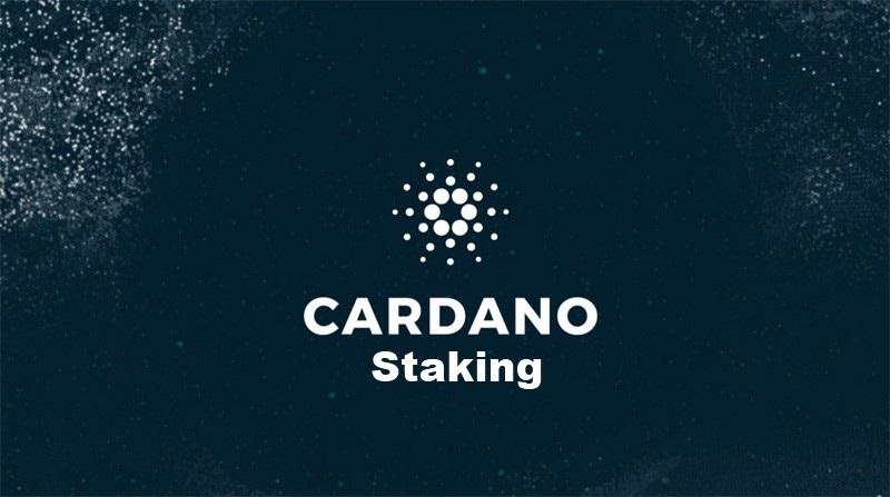 Cardano Staking: Ultimate Guide on Earning ADA