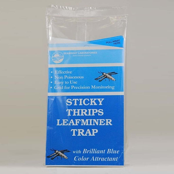 Insect Traps & Lures - Citrus Leaf Miner Trap & Lure